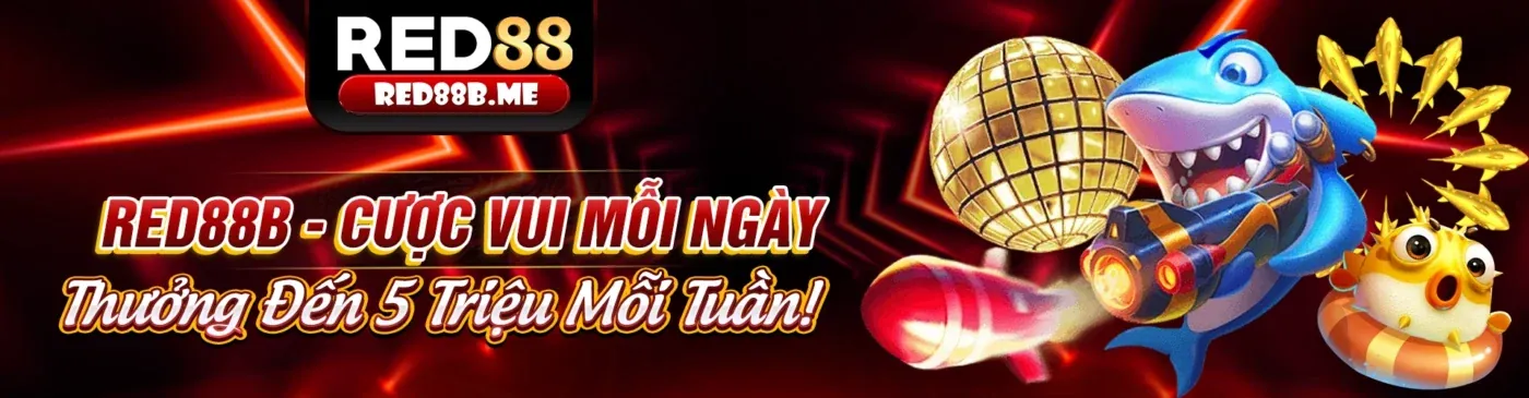 Hình ảnh chính sách quyền riêng tư 88xx ứng dụng iOS