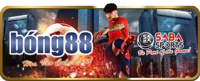 Tỷ lệ cược thời gian thực